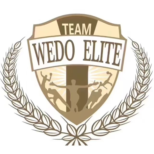 沃德精英 logo